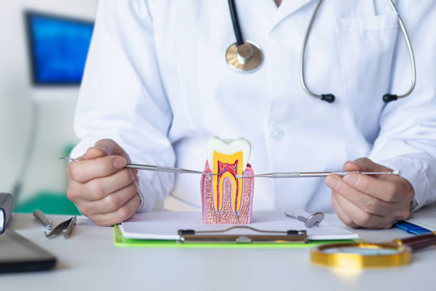 Best Emergency Root Canal Therapy in Newton, IL